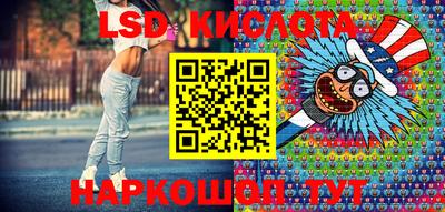 a pvp Кингисепп