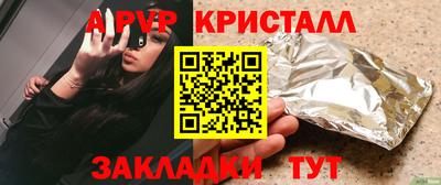 a pvp Кингисепп