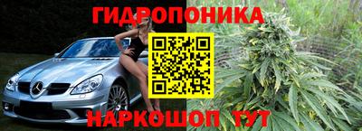 ГАЛЛЮЦИНОГЕННЫЕ ГРИБЫ Кинель