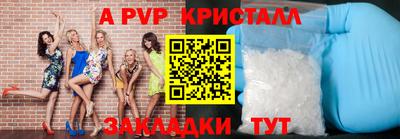 a pvp Кингисепп
