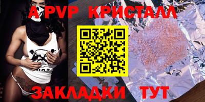 a pvp Кингисепп
