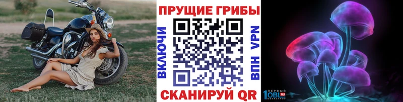 где найти наркотики  Самара  Псилоцибиновые грибы мицелий 