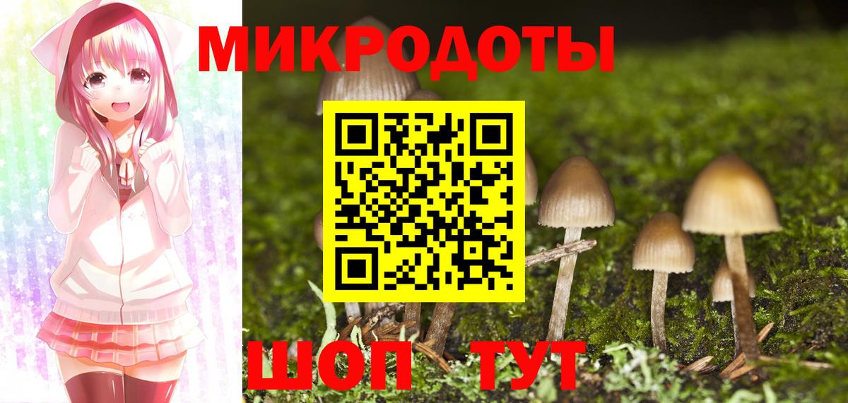 Галлюциногенные грибы Psilocybine cubensis  Вход с VPN  Самара 